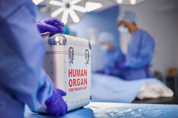 Ethical Legal Rules Deceased Organ Donation